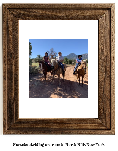 horseback riding near me in North Hills, New York